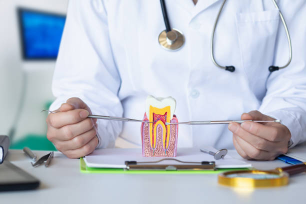 Best Emergency Root Canal Treatment in Sundown, TX